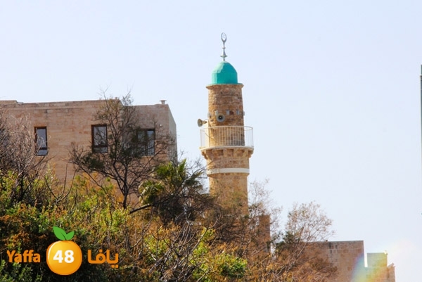 mina2 yaffaj343 (23).jpg